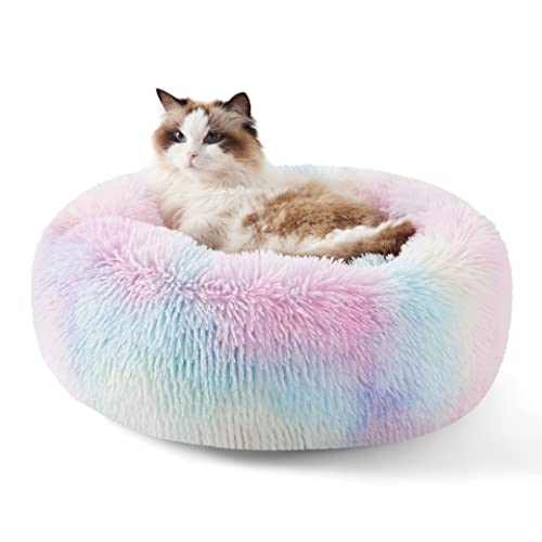Calming Cat Beds Donut Round Washable Kitten Bed (20"L x 20"W x 6"Th / Multi Color)