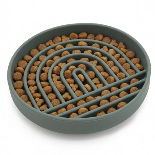 Slow Feeder Dog Bowl (Spruce - Rainbow Design / Medium (7.5” Across x 1.5” Tall))