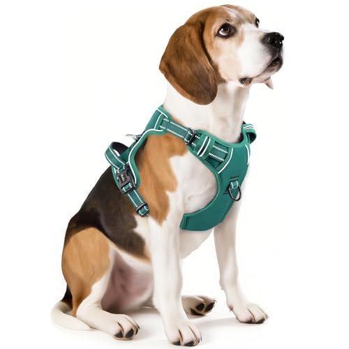 Dog Harness for Medium Dogs No Pull Dog Vest Harness with Soft Padded Handle Reflective for Outdoor Training (M / Grass Green)