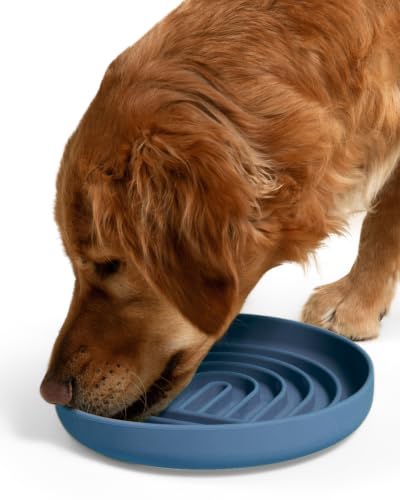 Slow Feeder Dog Bowl (Ocean - Rainbow Design / Large (9.5” Across and 1.5” Tall))