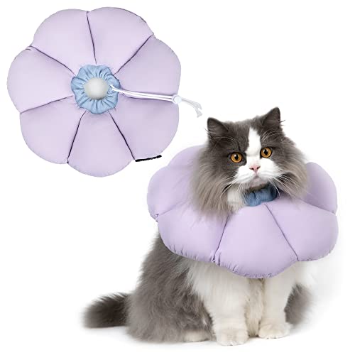 Cat Cone Collar (Medium / purple)