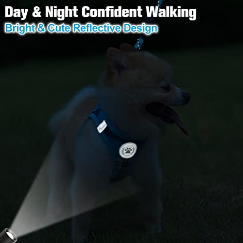 Small Dog Harness and Leash Set (XX-Small(Chest Girth 11.5"-13") / Blue)