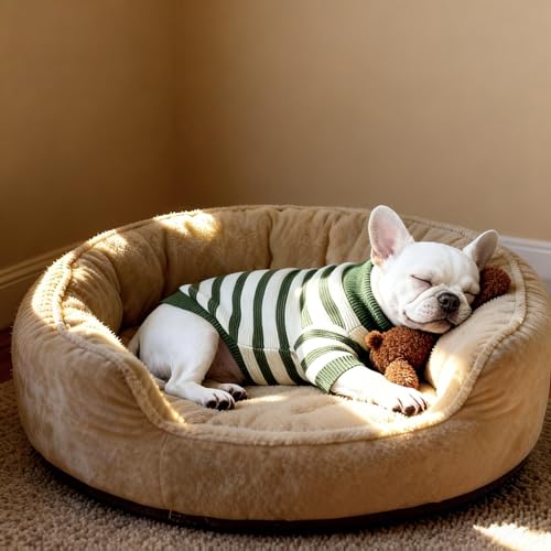 Small Dog Sweater (Green Stripe Pullover(Order One Size Up) / Large)