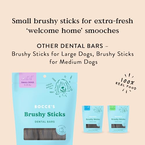Brushy Sticks Dog Dental Treats (13 Ounce (Pack of 1))