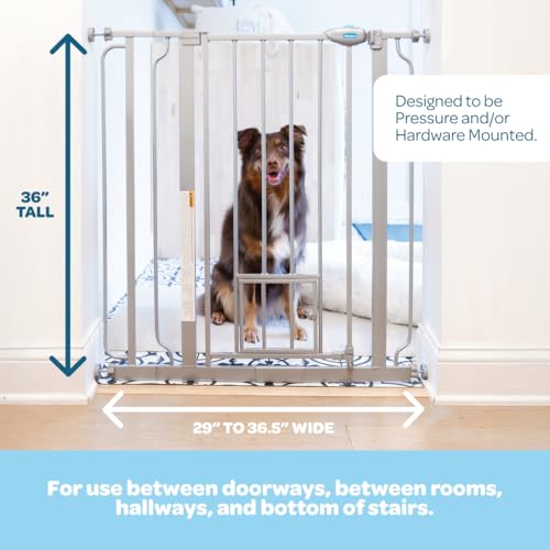 Carlson 36" Extra Tall Walk Through Dog Gate for Doorways & Bottom of Stairs (Platinum / 29.5-36.5" W x 36" H)
