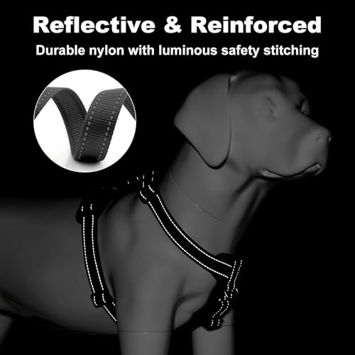 No Pull Dog Harness with Leather Accents (M / Black)