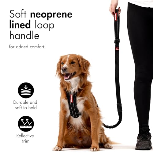 Zero Shock Bungee Dog Leash (Corduroy / 48-Inch)