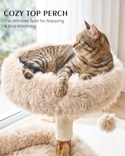 Solid Wood Cat Tree (Yellowish Brown)