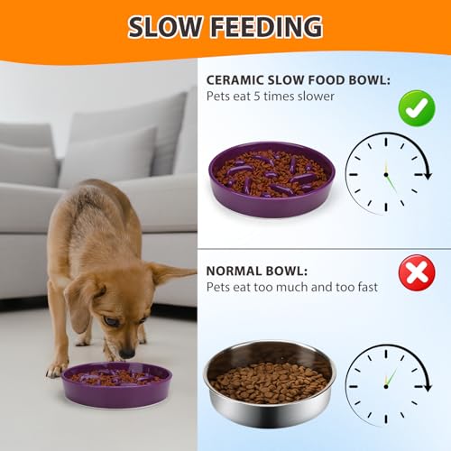 Ceramic Slow Feeder Dog Bowl (Maze - Deep purple / 2 Cups)