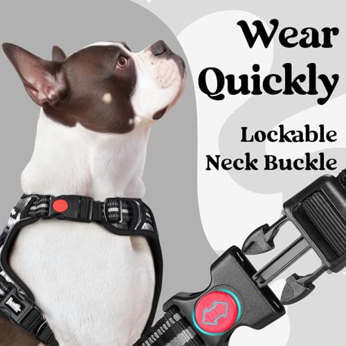 Dog Harness for Large (Large / Mountain Black)
