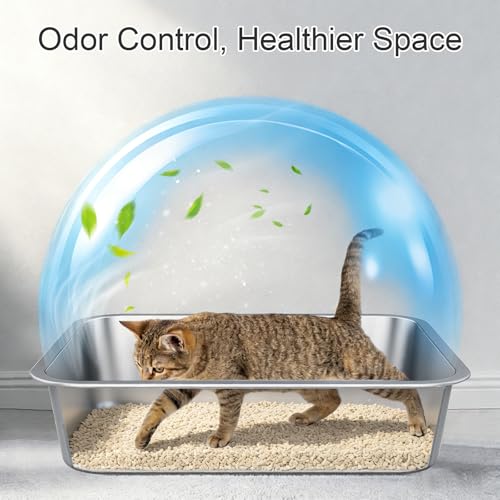 Stainless Steel High Sided Cat Litter Box (16.93"L x 12.99"W x 5.12"H)