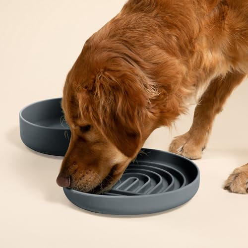 Slow Feeder Dog Bowl (Charcoal - Rainbow Design / Large (9.5” Across and 1.5” Tall))