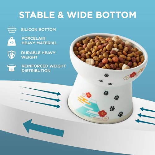 Necoichi Ceramic Raised Cat Food Bowl (Fuji / Large)