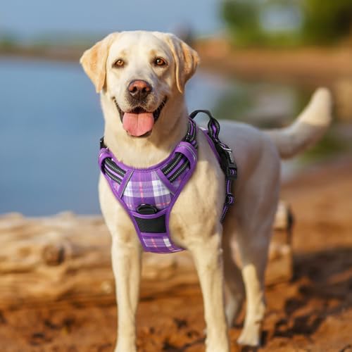 Dog Harness No Pull for Large Dogs with 2 Leash Clips (Large / Purple Plaid)