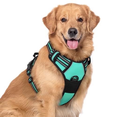 Dog Harness No Pull for Large Dogs with 2 Leash Clips (X-Large / Turquoise)