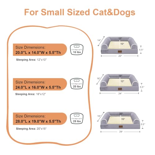 Orthopedic Dog Bed for Small Dogs (Purple / 24.0"L x 16.0"W x 5.5"Th)