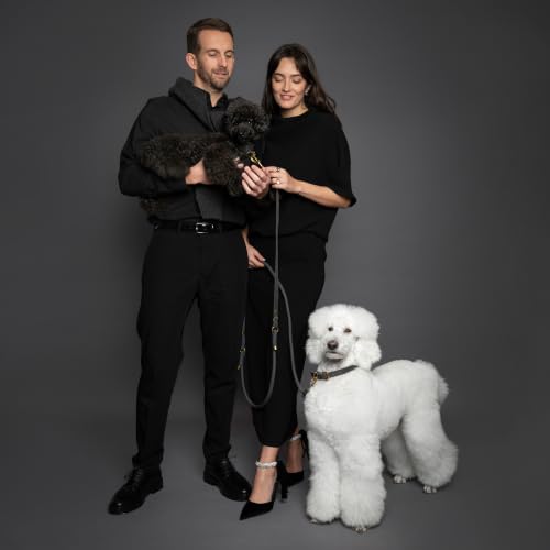 Hands Free Dog Leash (Grey)