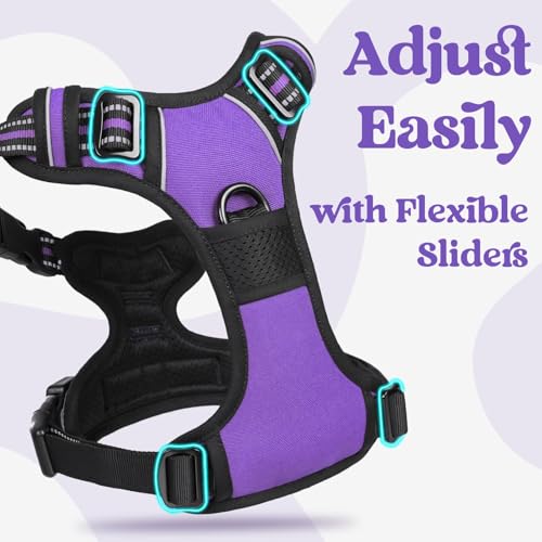 Dog Harness Small Sized (Small / Purple)