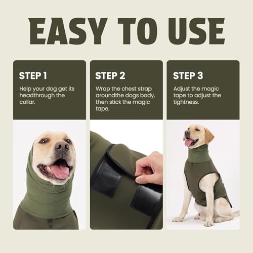 Dog Anxiety Vest and Coat (Ranger Green / X-Large)