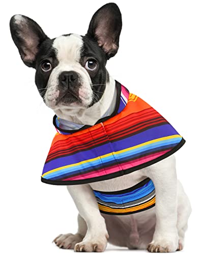 Dog Raincoat with Hood & Leash Hole S (Medium / Baja Stripes)