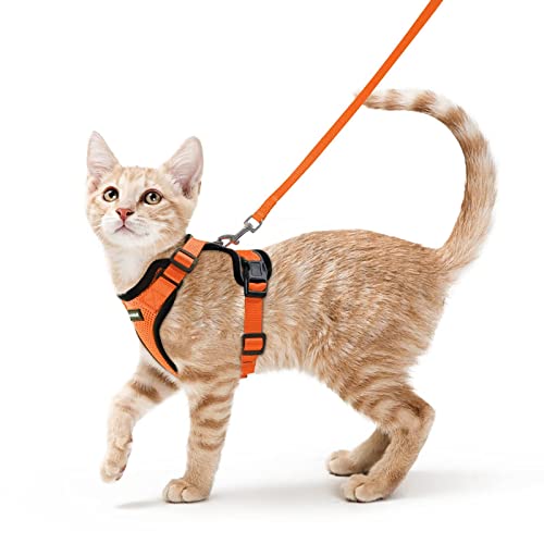 Cat Harness and Leash Set (S / Orange)