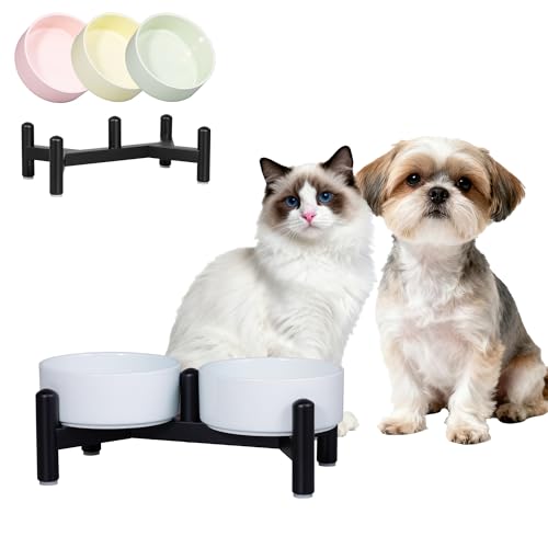 Elevated Ceramic Dog Bowl Set (Blue / 1.4 Cups)