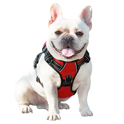 No Pull Dog Harnesses for Small Dogs Reflective Adjustable (Extra Small / Red)