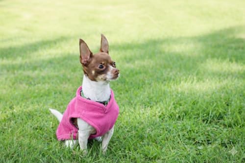 Dog Fleece Vest Sweater with Leash Ring (S (4-6lbs) / Pink)