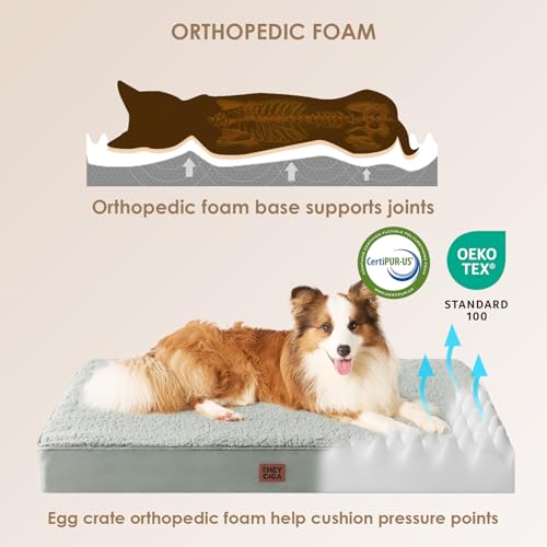 Orthopedic Dog Bed Extra Large with Removable Washable Cover (50*36*4 inches / Greyish Green)
