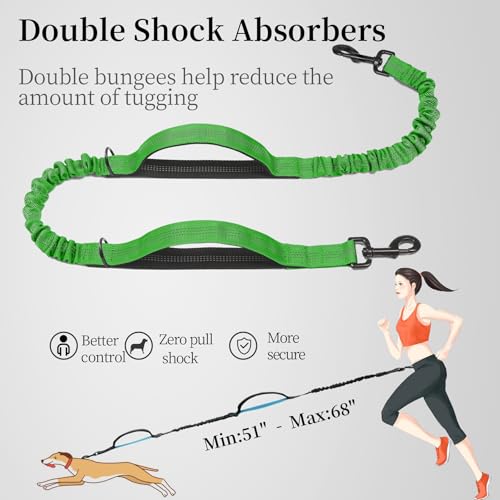 Hands Free Dog Leash with Zipper Pouch (Emerald / Large)