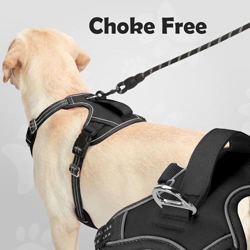 Dog Harness for Large Dog No Pull (Black / Large)