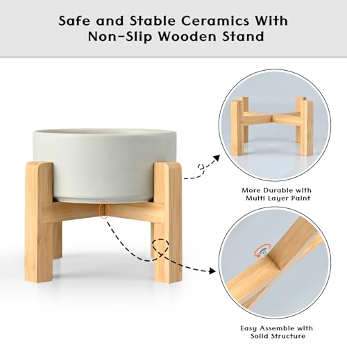 Ceramic Elevated Dog Bowls 2 Pack (Medium - 3.6 CUPS*2 / Grey)