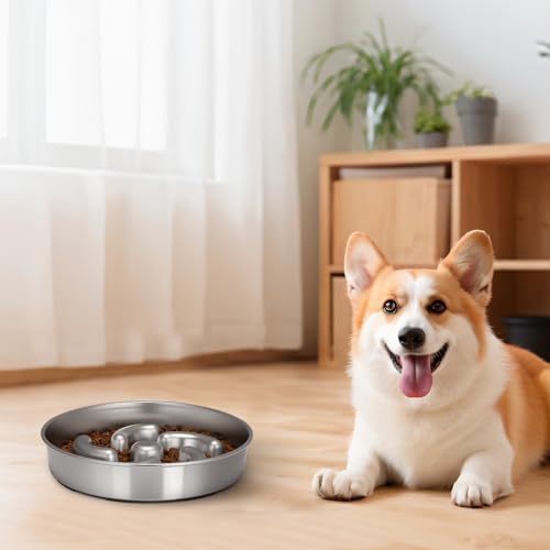 Slow Feeder Dog Bowl