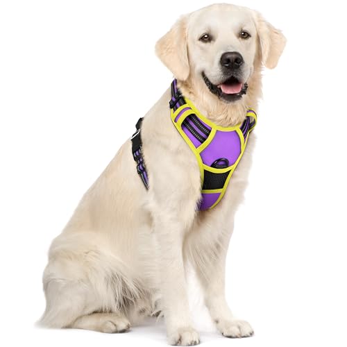 Dog Harness No Pull for Large Dogs with 2 Leash Clips (X-Large / Purple & Yellow)