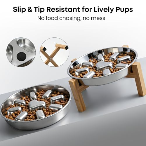 Elevated Slow Feeder Dog Bowls 2 Cups for 15