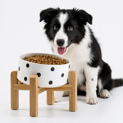 Elevated Raised 15°Slanted Ceramic Dog Bowl for Small and Medium Breeds (Black Dot / 3.6 CUPS - Medium Dog Bowls)