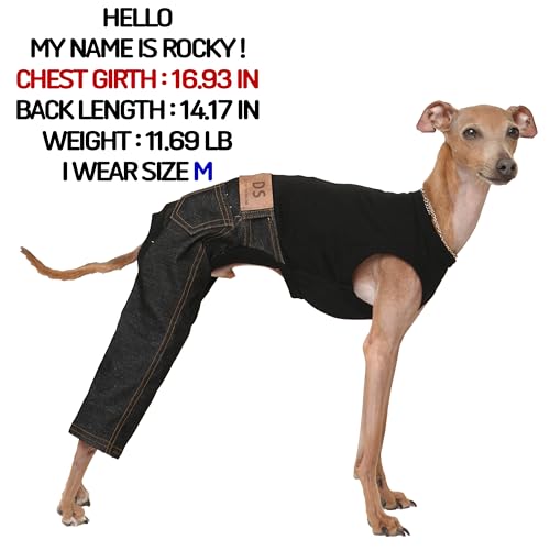 D Doggy Star Italian Greyhound Clothes Sleeveless Jeans Onesie Outfit Whippet for Dog Coat (3XL / Black Jean)
