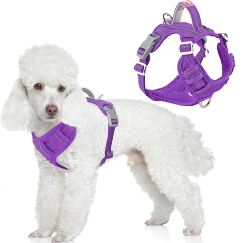 No Pull Dog Harness for Small Sized Dogs (Small(Chest:19.5-26”) / Purple)