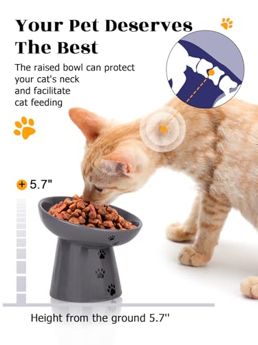 Slow Feeder Cat Bowl (Grey)