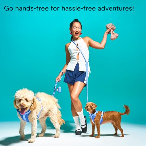 Hands Free Adjustable Rope Dog Leash (Moonstone)