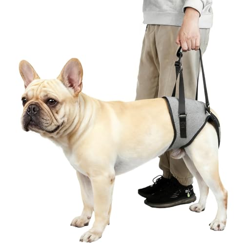 Dog Lift Harness for Dogs (Medium / Grey)