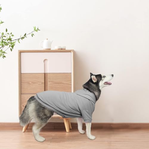 Dog Hoodie for Medium Dogs (#2 Grey(Plain) / Medium (All Breed Sizes))
