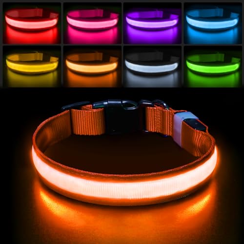 Light up Dog Collar (Orange / S(11 inch-15.7 inch))