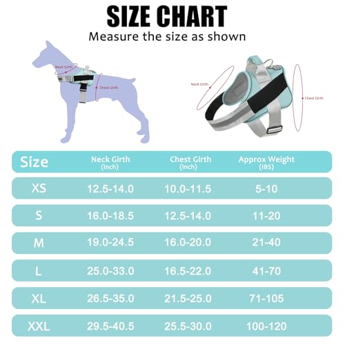 Dog Harness No (Medium (Pack of 1) / BabyBlue)
