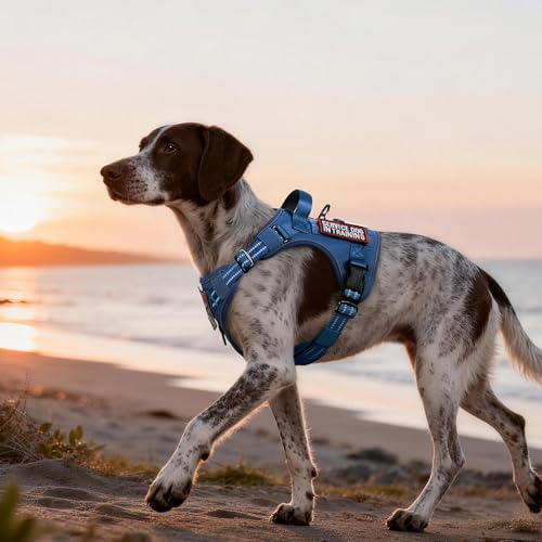 Tactical Dog Harness Medium Sized (M(chest:20.1"-33.9",neck:17.7"-22.3",back:7.5") / Blue)