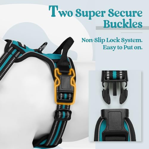 Dog Harness No Pull for Small Dogs with 2 Leash Clips (Small / Teal)