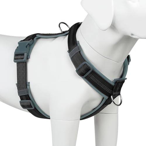 No Pull Dog Harness (XS / Black)