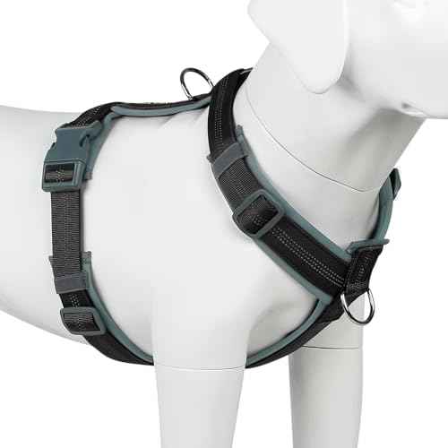 No Pull Dog Harness (M / Black)