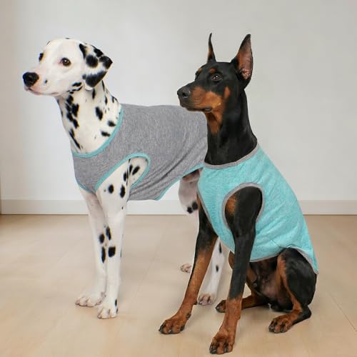 2Pack Dog Shirt for Large Dogs Sun Protection Tank Top for Summer (XXX-Large (55-75lbs) / 1# 2Pack (Grey+Blue))