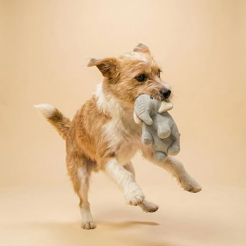 Premium Plush Dog Toy (Medium / Ellie the Elephant)